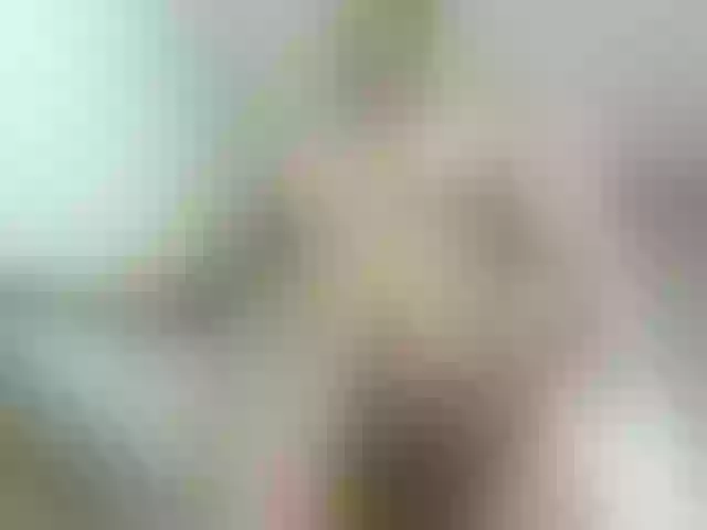Live sex webcam photo for Stevenh #290849236
