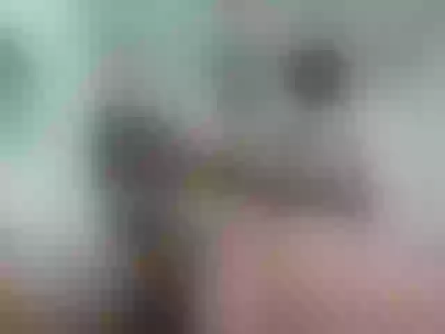 Live sex webcam photo for Stevenh #291590225