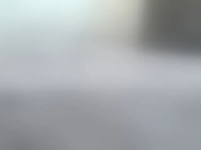 Live sex webcam photo for Stevenh #293598509