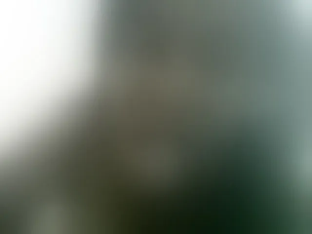 Live sex webcam photo for Sthela #293226953