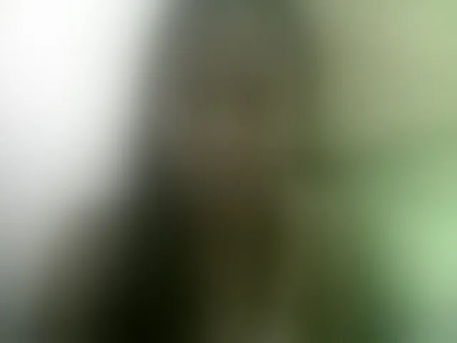 Live sex webcam photo for Sthela #293242142