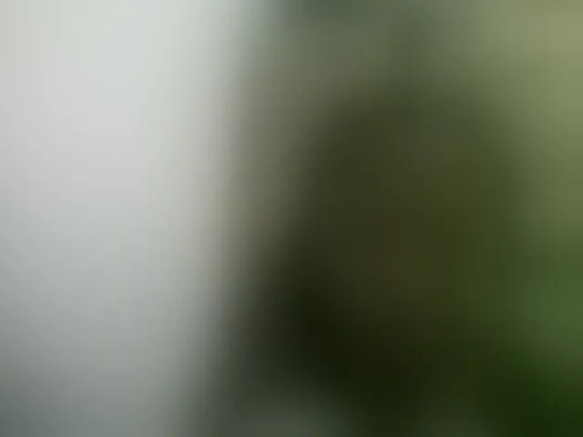 Live sex webcam photo for Sthela #293243986