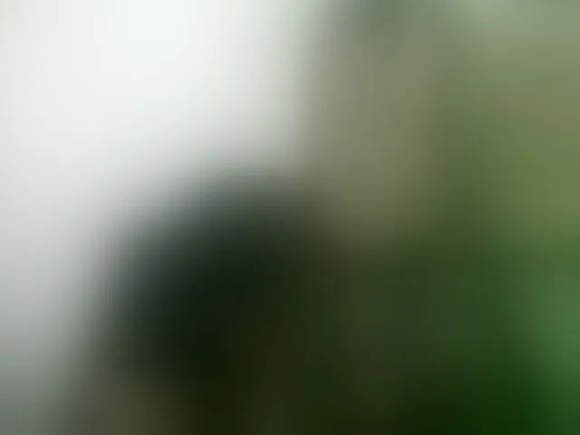 Live sex webcam photo for Sthela #293245276