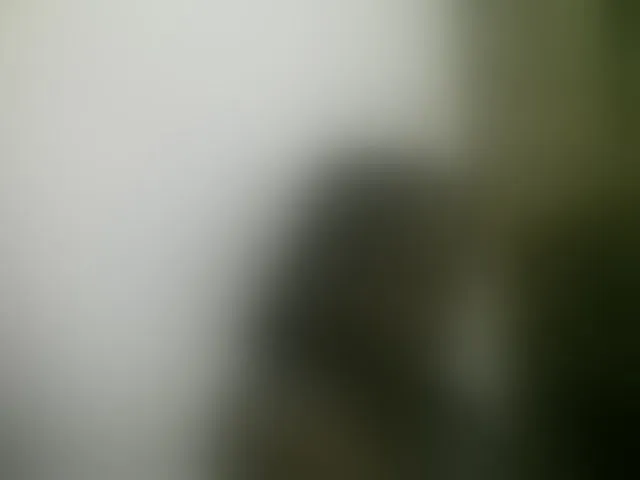 Live sex webcam photo for Sthela #293253227