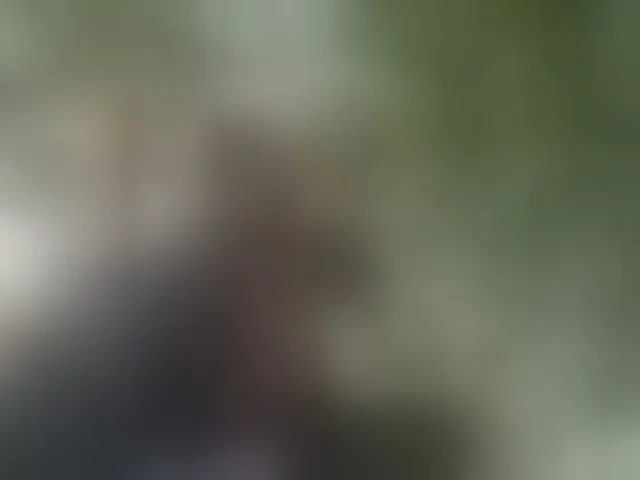 Live sex webcam photo for StormEva #293930989