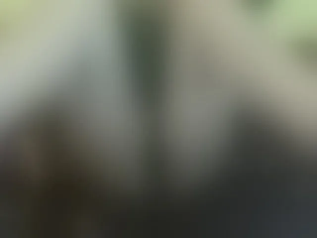 Live sex webcam photo for Stripiqueen #292656912
