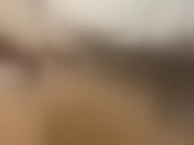 Live sex webcam photo for Su-Velvet #293762322