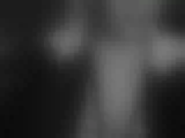 Live sex webcam photo for Success100 #292003022
