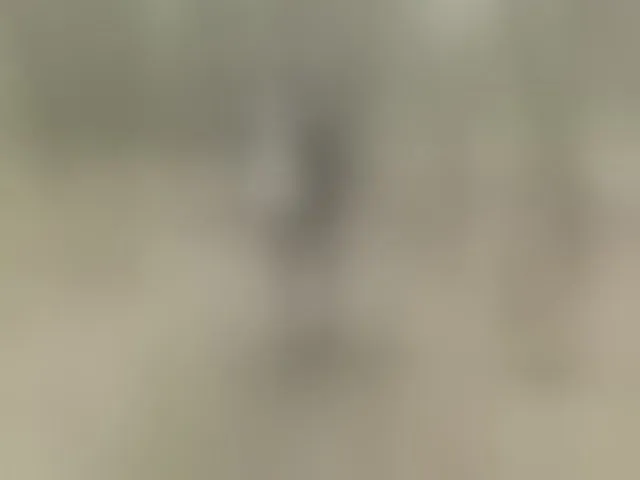 Live sex webcam photo for Sun-Moon #293488740