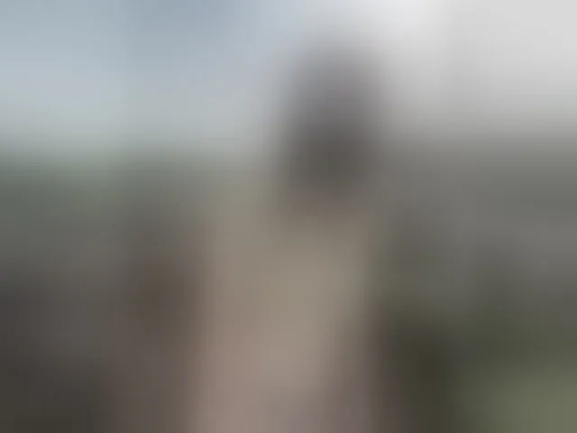 Live sex webcam photo for Sun-Moon #293623942
