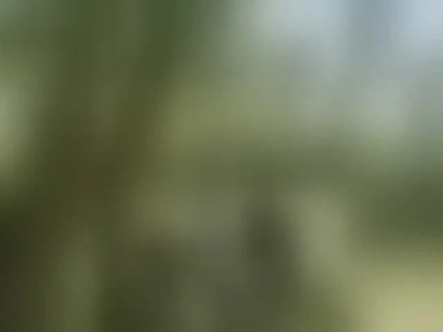 Live sex webcam photo for Sun-Moon #293706600
