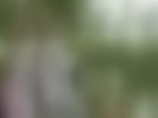 Live sex webcam photo for Sun-Moon #293779899