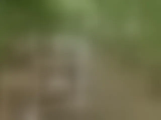 Live sex webcam photo for Sun-Moon #293901117