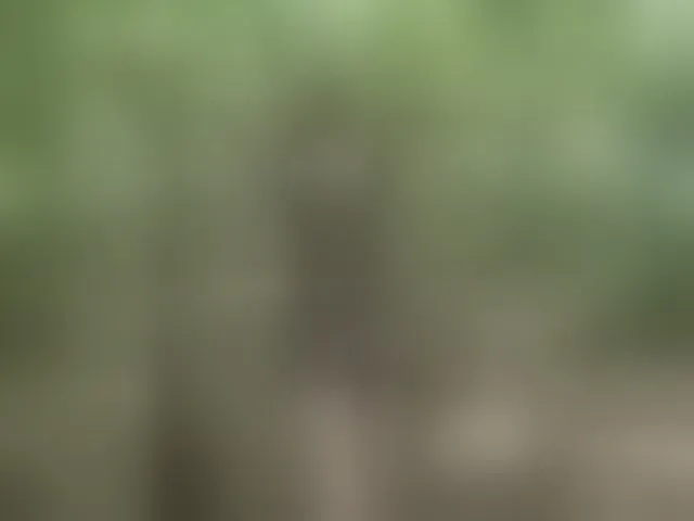 Live sex webcam photo for Sun-Moon #293910276