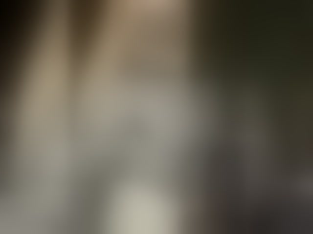 Live sex webcam photo for Sun-Moon #294088170