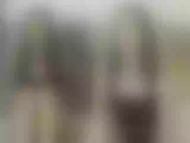 Live sex webcam photo for Sun-and-Luna #291977916