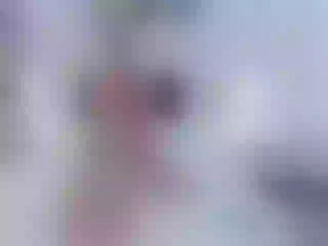 Live sex webcam photo for Sunbeam #291313892