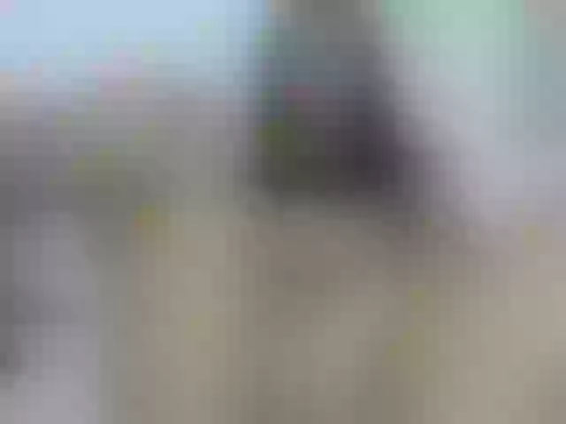 Live sex webcam photo for SunnyGilmore #291163709