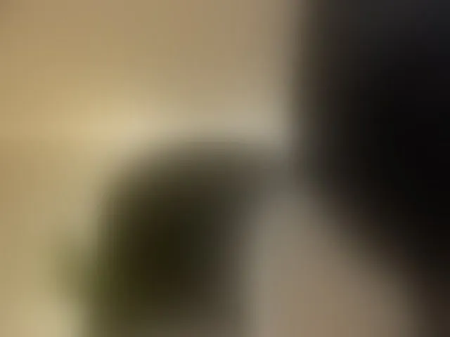 Live sex webcam photo for SunnyRiversX #293365652
