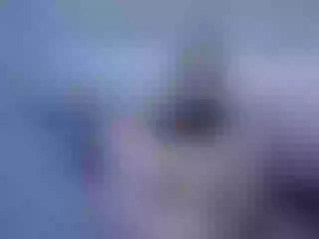 Live sex webcam photo for Sunshine- #291343126