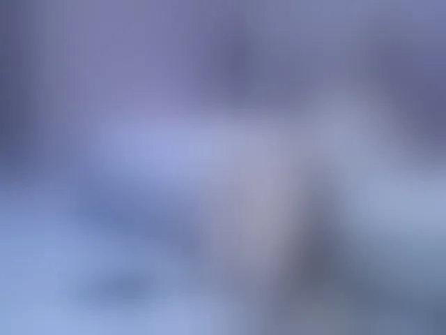 Live sex webcam photo for Sunshine- #293270997