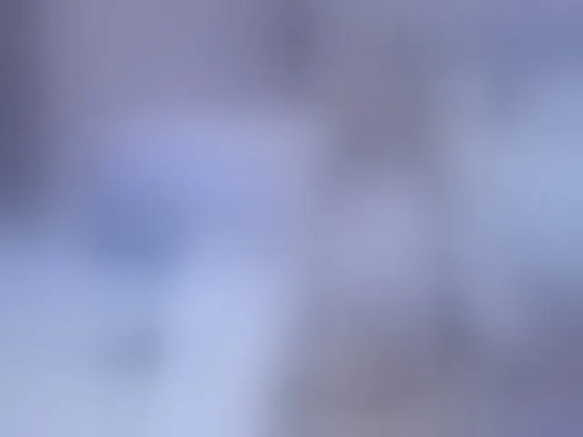 Live sex webcam photo for Sunshine- #293772312