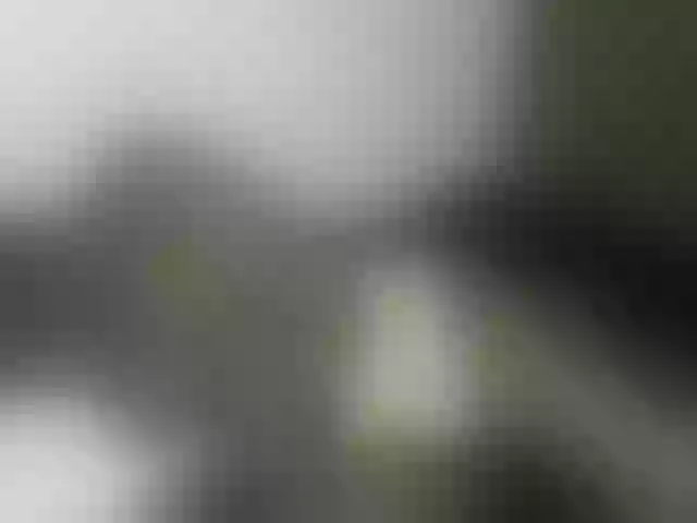Live sex webcam photo for Supershanita #277403615
