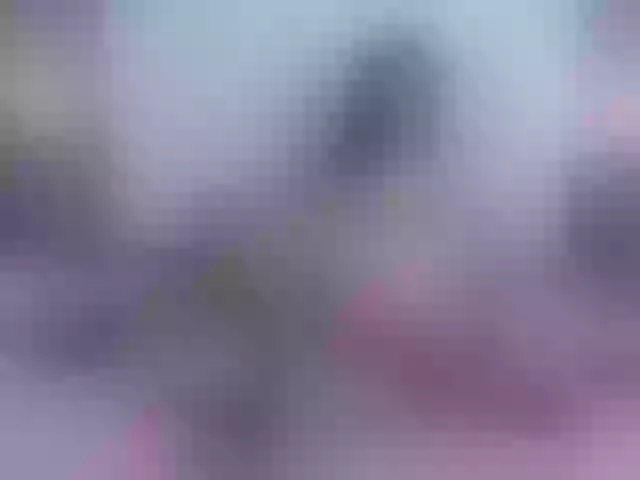 Live sex webcam photo for Susan-milf1 #272871438