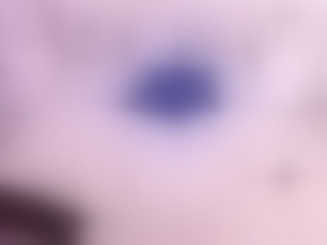 Live sex webcam photo for SusanSwann #294212173