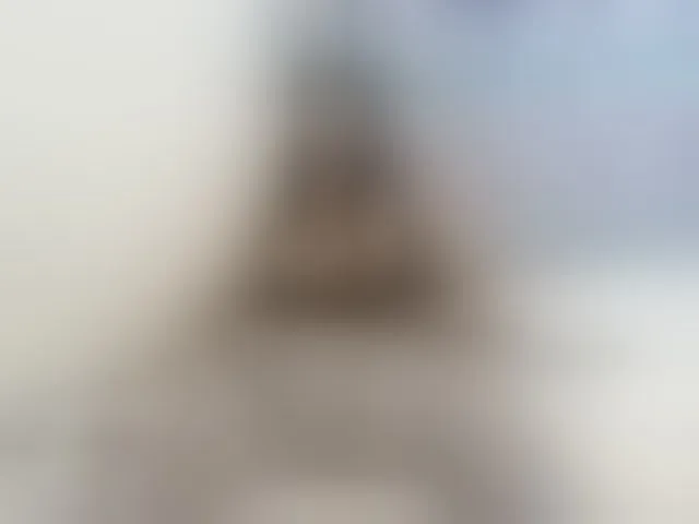 Live sex webcam photo for SusanaEshwar #294009824
