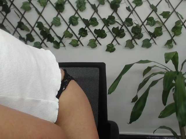 Live sex webcam photo for Susanbones #272909840