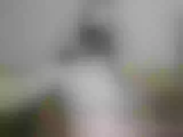 Live sex webcam photo for Sweet--Baby #289610779