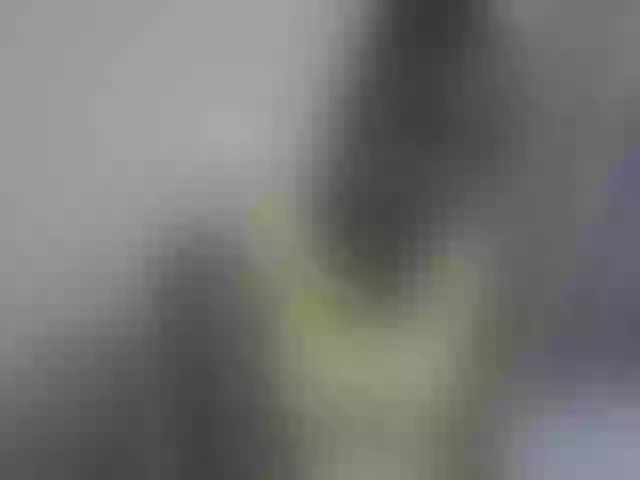 Live sex webcam photo for Sweet-diva #291986794