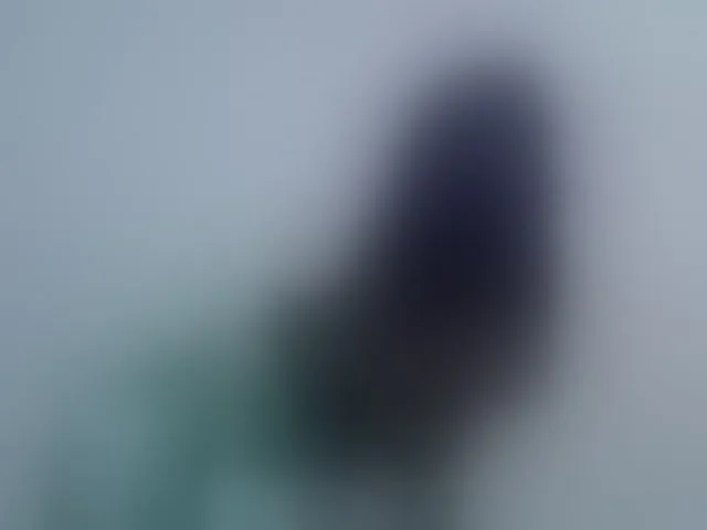 Live sex webcam photo for Sweet-diva #294117371