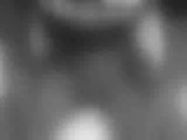 Live sex webcam photo for SweetBellan #290286407