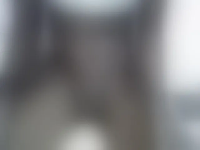 Live sex webcam photo for SweetBellan #290353479