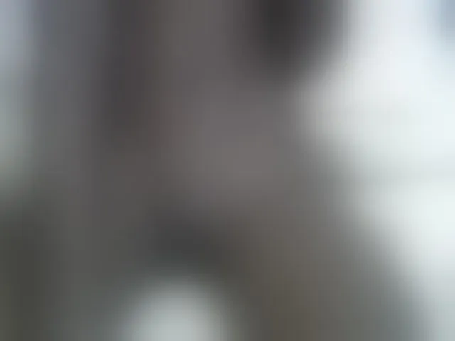 Live sex webcam photo for SweetBellan #290400208