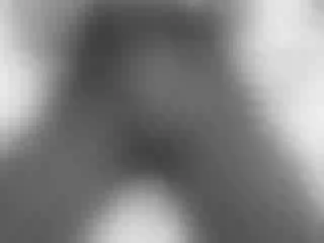 Live sex webcam photo for SweetBellan #290469299