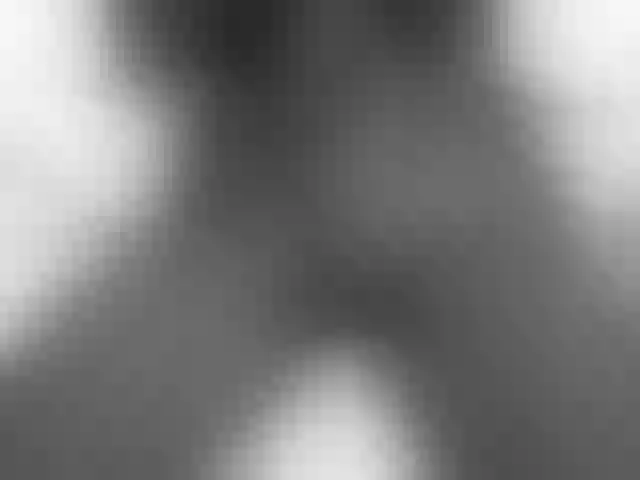 Live sex webcam photo for SweetBellan #290472907