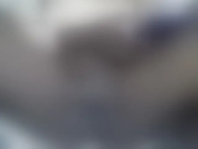 Live sex webcam photo for SweetBellan #291224639