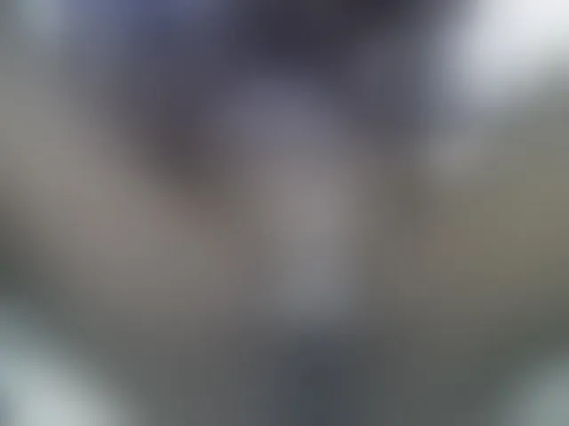 Live sex webcam photo for SweetBellan #291252887