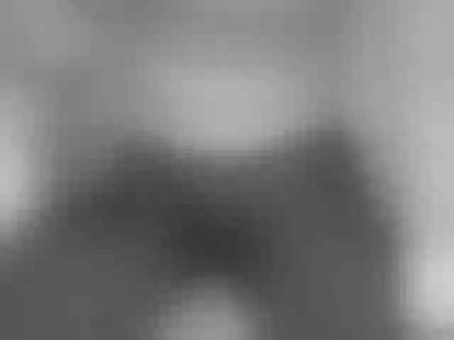 Live sex webcam photo for SweetBellan #291278296