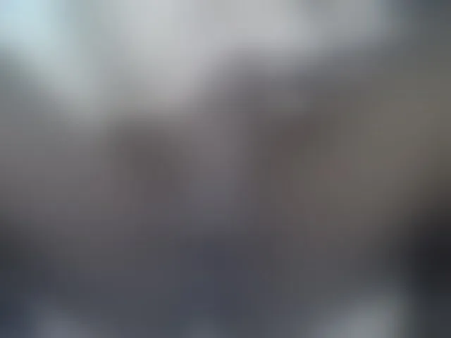 Live sex webcam photo for SweetBellan #291281927