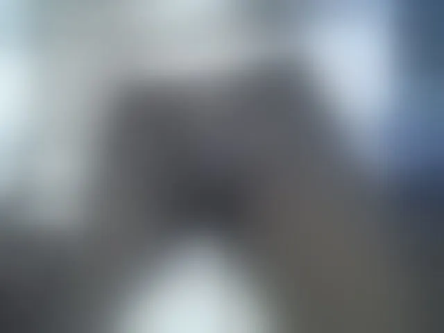 Live sex webcam photo for SweetBellan #291342472