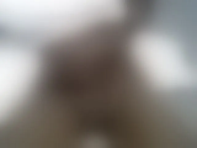 Live sex webcam photo for SweetBellan #293439113