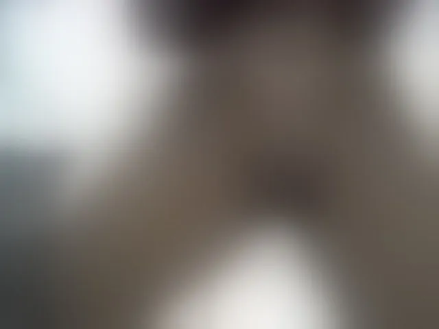 Live sex webcam photo for SweetBellan #293788423