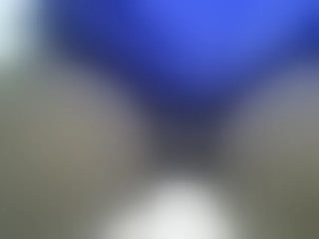 Live sex webcam photo for SweetBellan #294026948