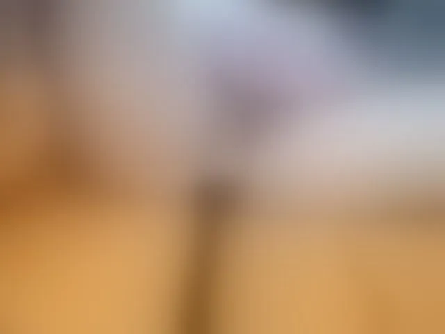 Live sex webcam photo for SweetFox #293529191