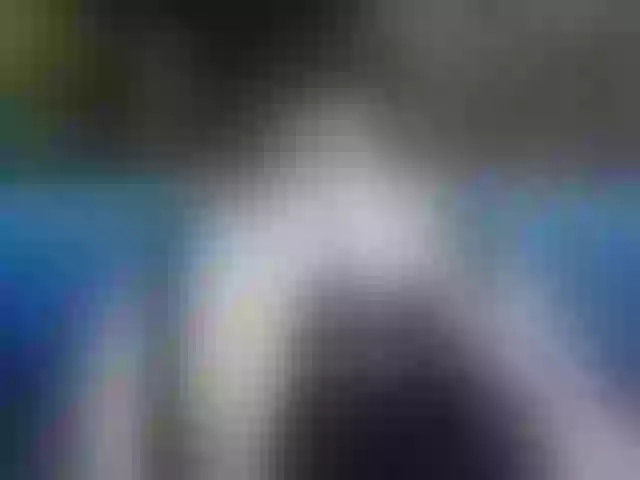 Live sex webcam photo for SweetGerl00 #277381381