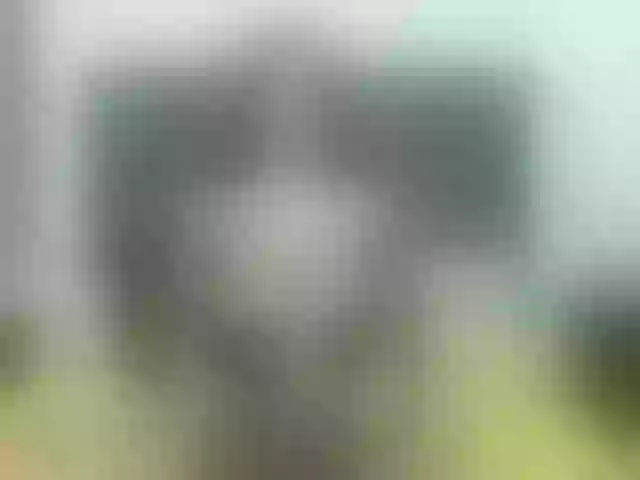 Live sex webcam photo for SweetMoniica #279331188